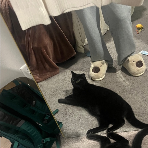 Alo yoga winter bliss cardigan - Picture 3 of 9